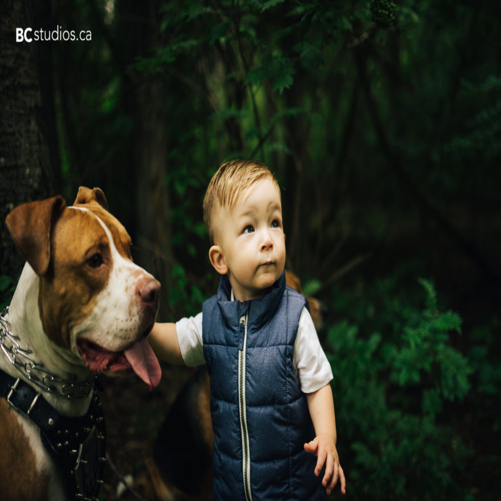 family session at hawerlak park. edmonton family photographer