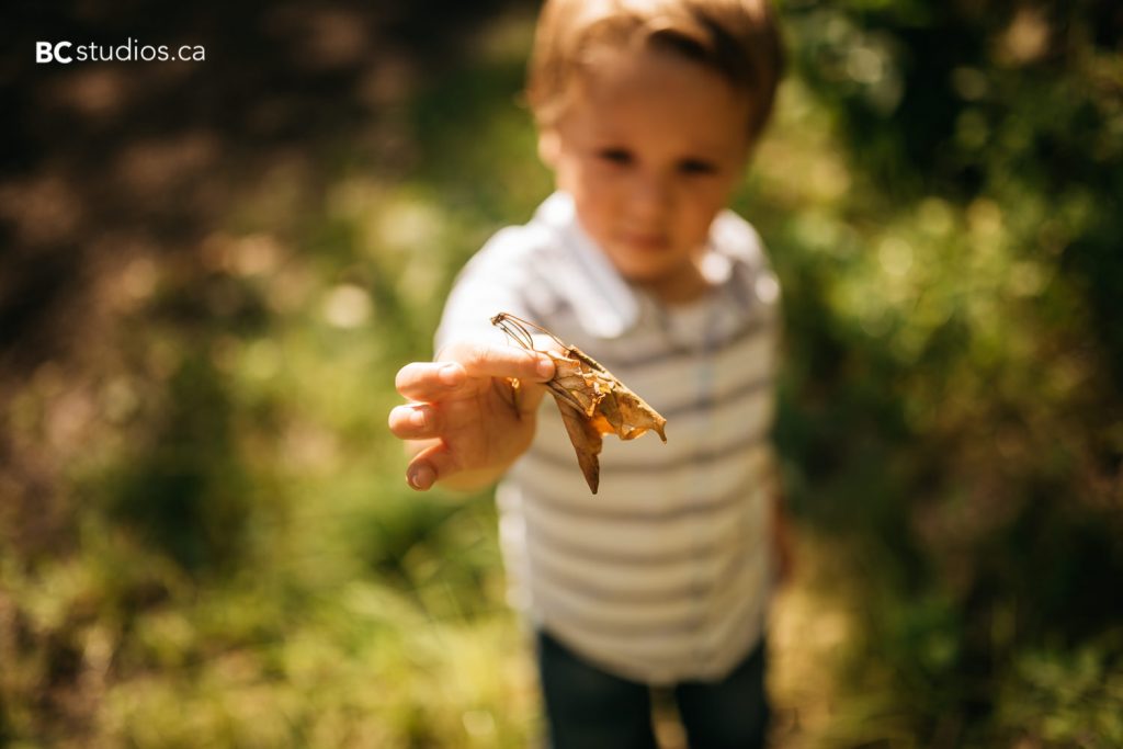 terwillegar dog park family session