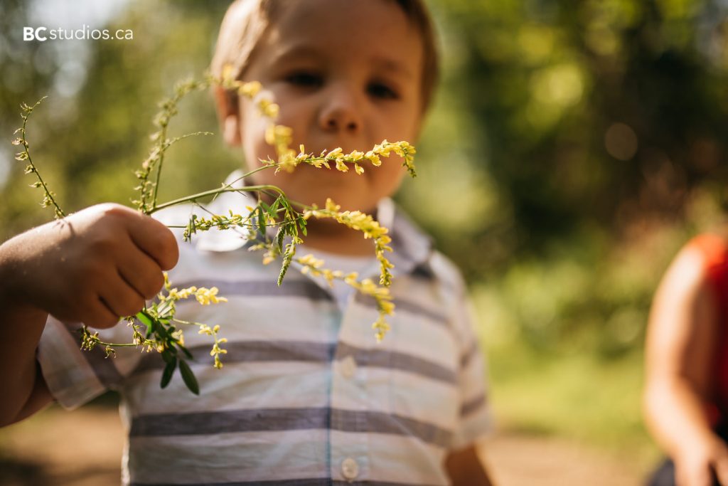 terwillegar dog park family session