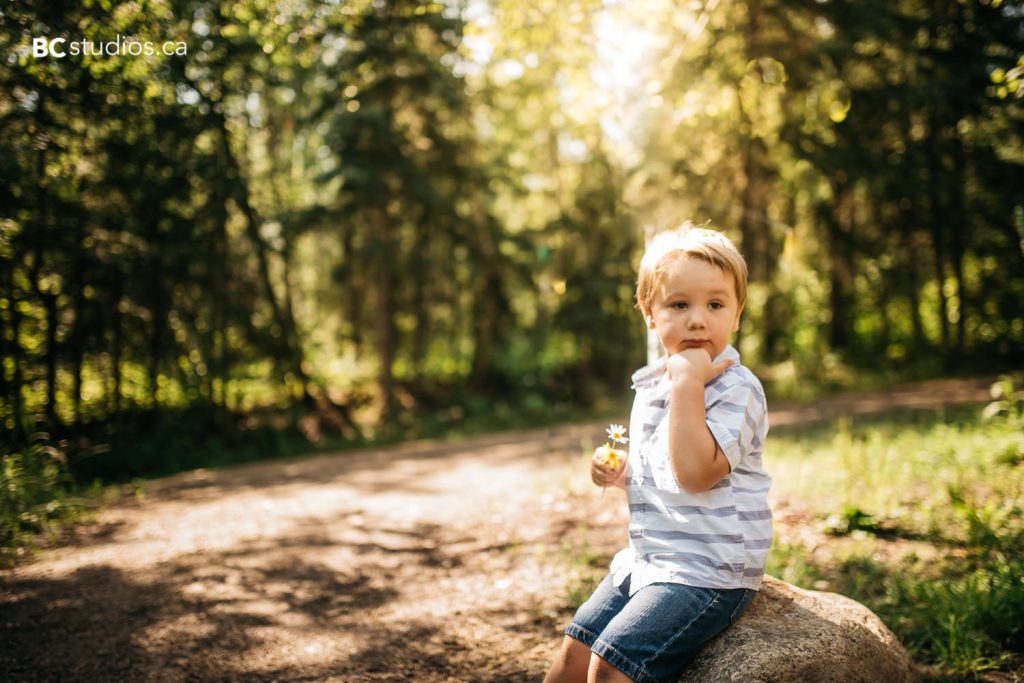 terwillegar dog park family session