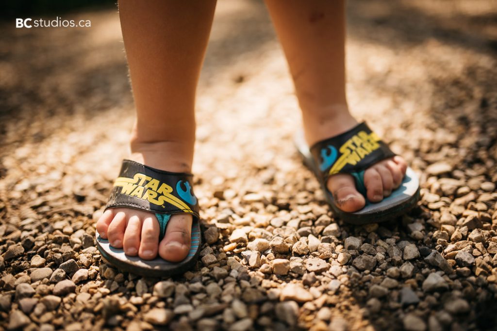 terwillegar dog park family session